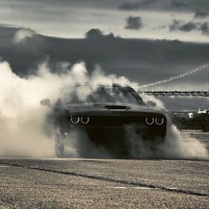 Meet your Posher, Leo